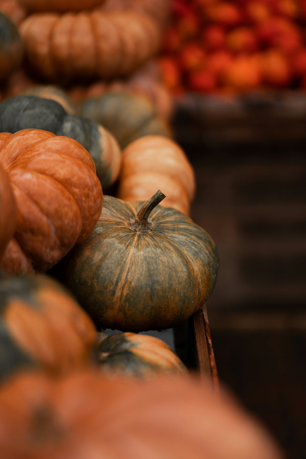 Cinnamon Pumpkin 12 oz aromatic scented candle